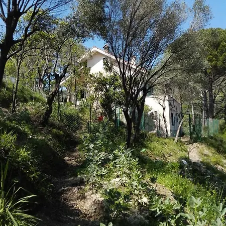 Bella Luminella Noli