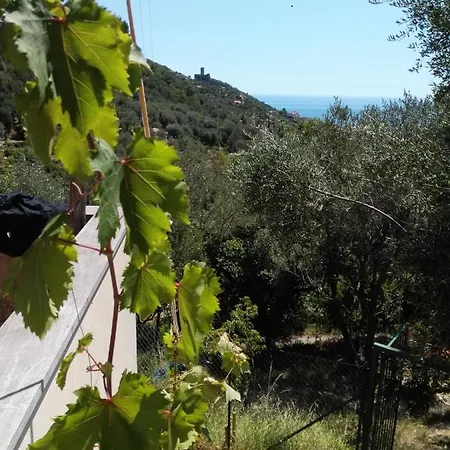 Bella Luminella Bed & Breakfast Noli