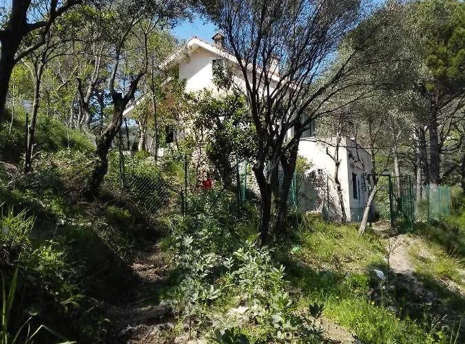 Bella Luminella Noli